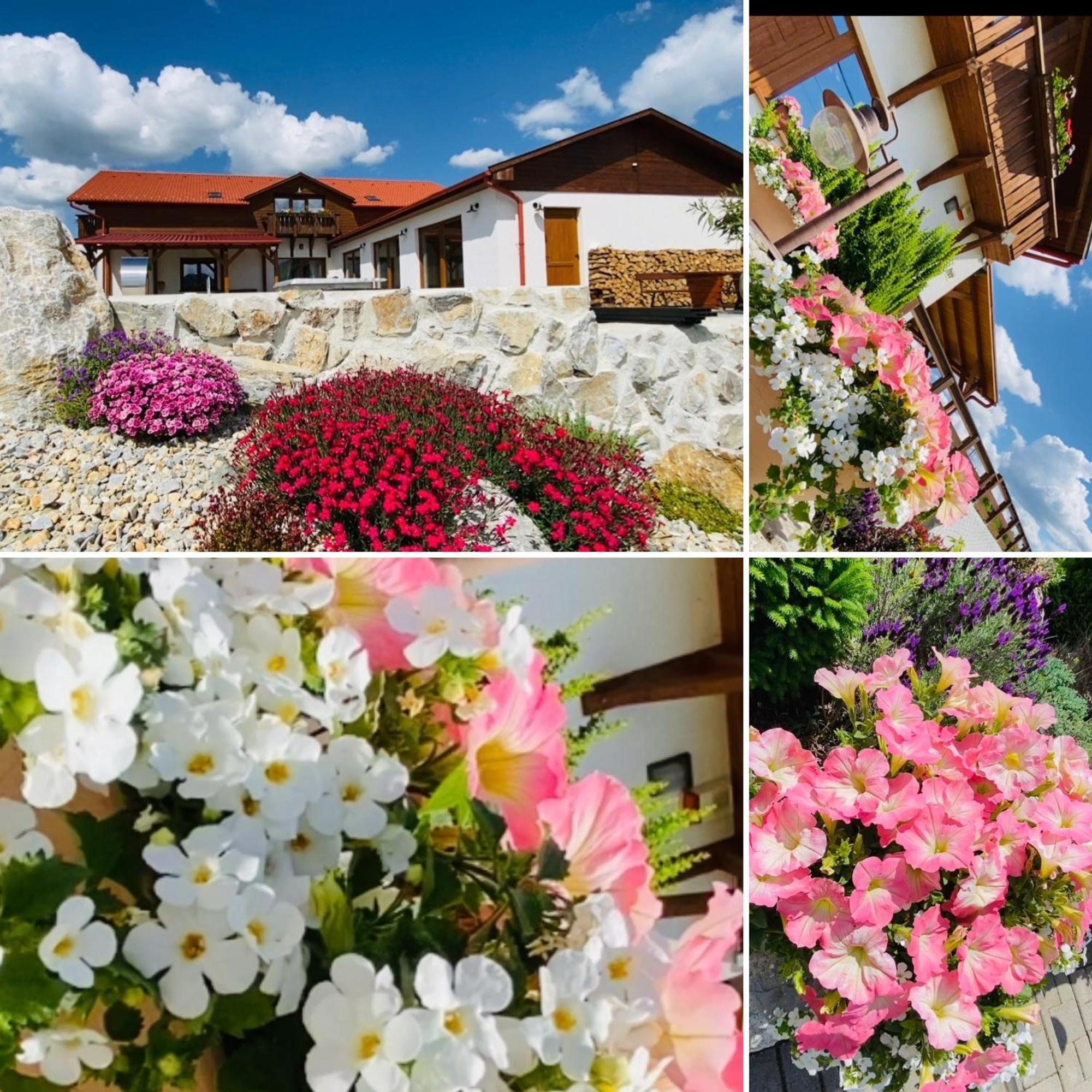 Gold Horse Vendeghaz Hotel Szilvasvarad Ngoại thất bức ảnh