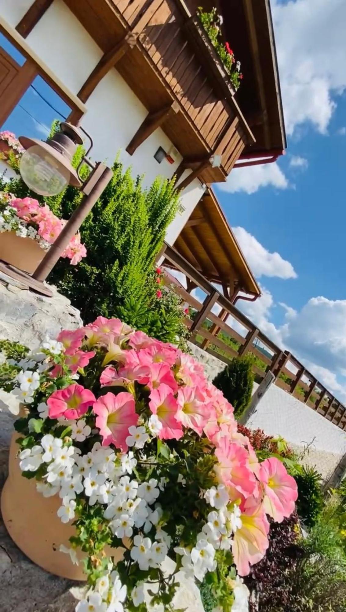 Gold Horse Vendeghaz Hotel Szilvasvarad Ngoại thất bức ảnh